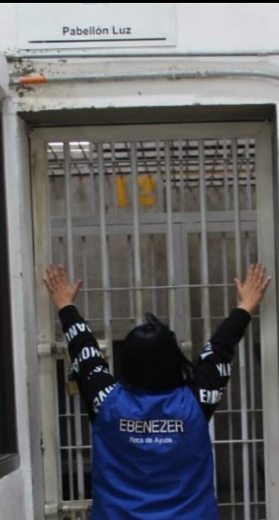 Imágenes (Máximo 5): Screenshot_2026_0206_102525